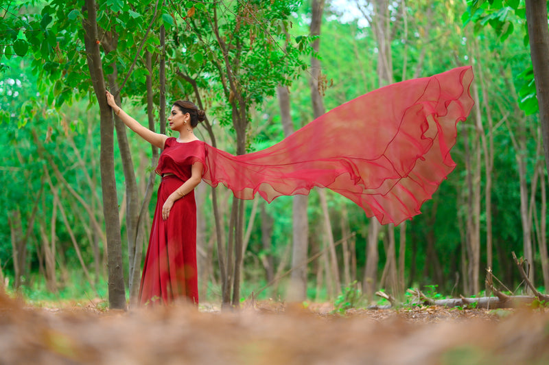 Rouge Saree